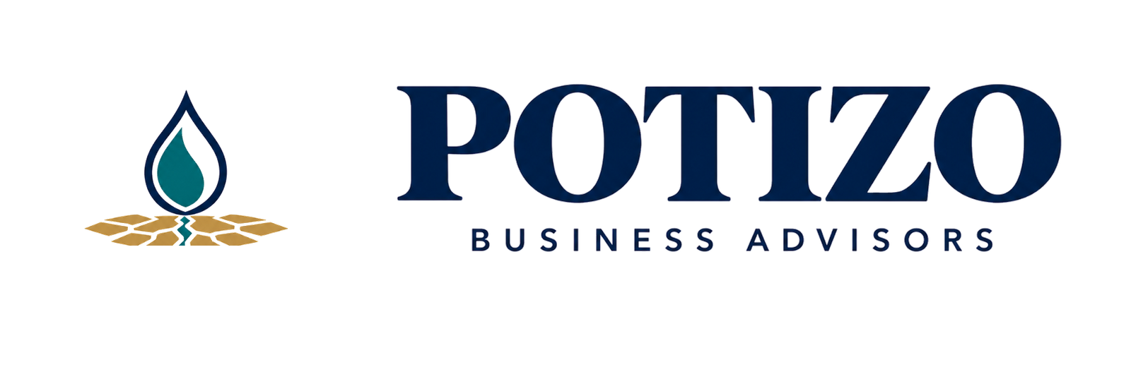 Potizo Business Advisors