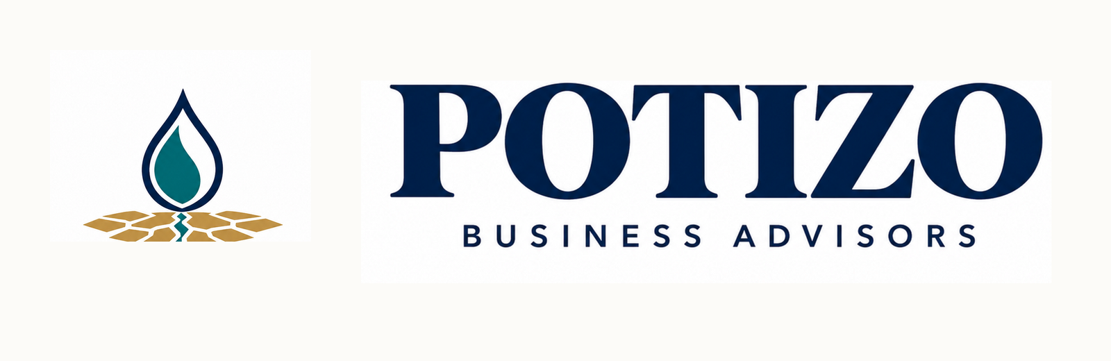 Potizo Business Advisors